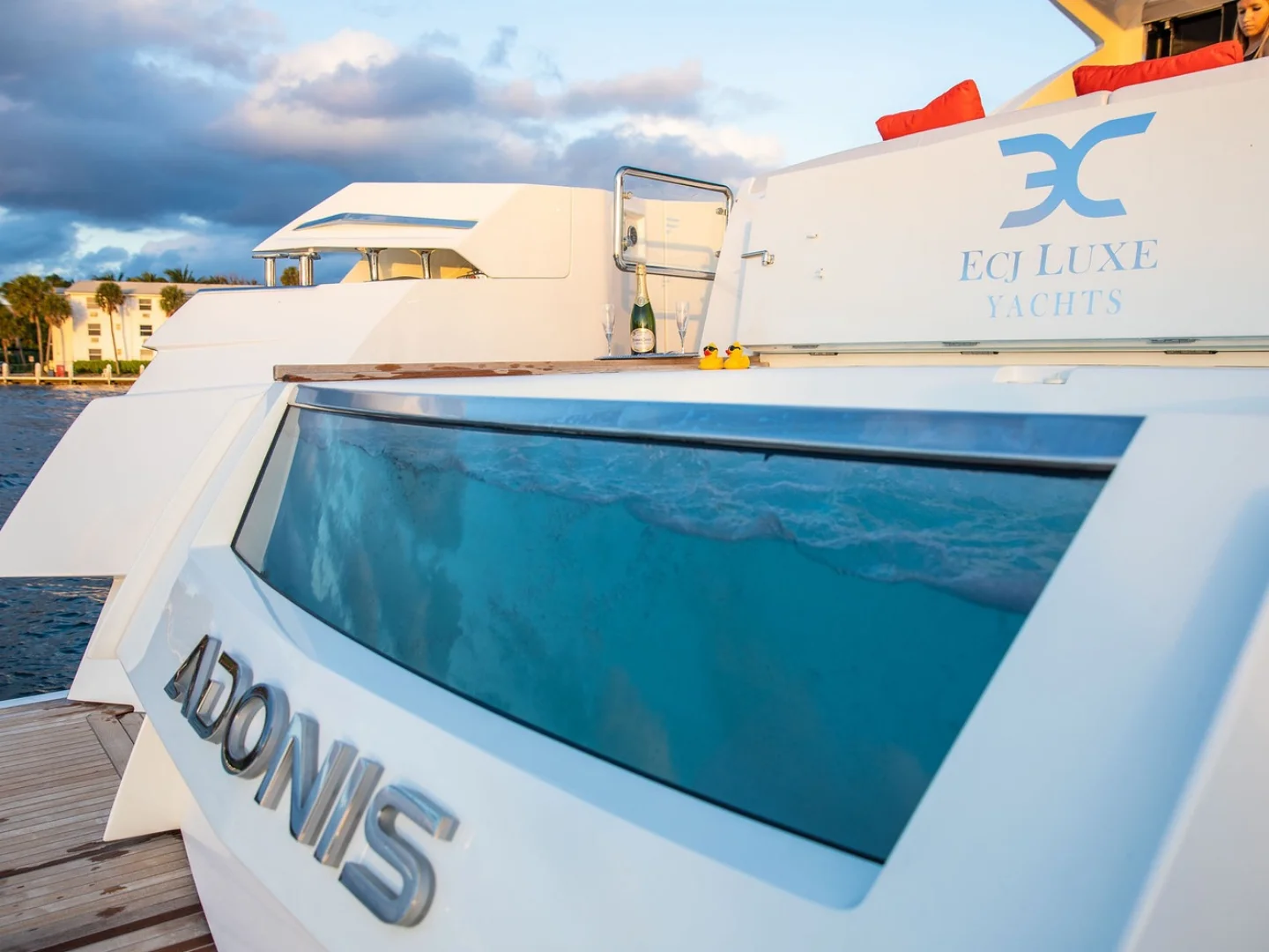 ADONIS | Numarine 80 - Photo 59