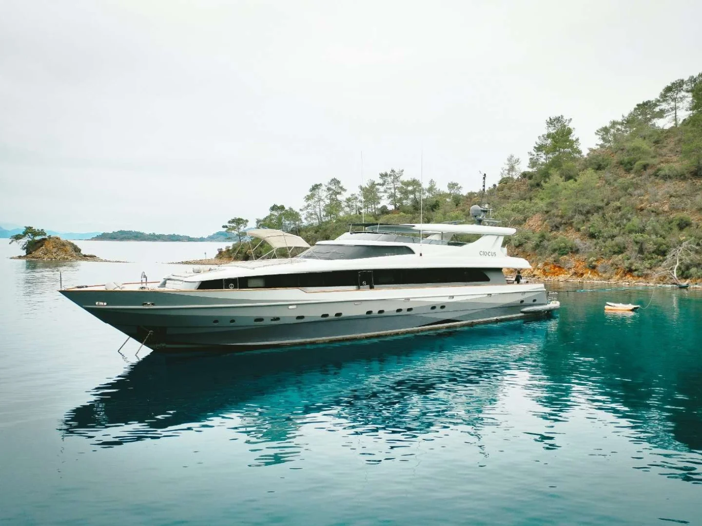 CROCUS |  Custom Made 40M