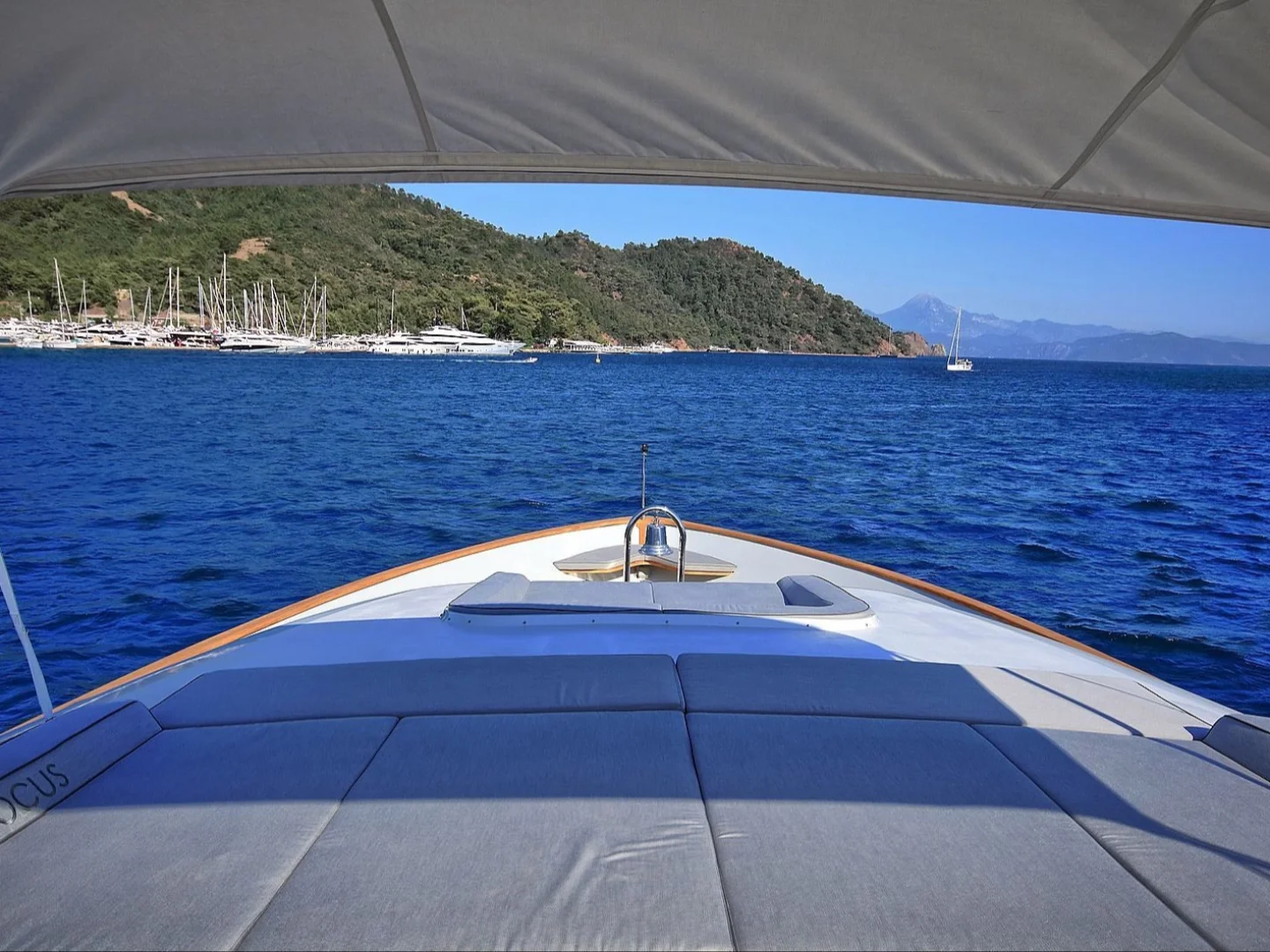 CROCUS |  Custom Made 40M - Photo 11