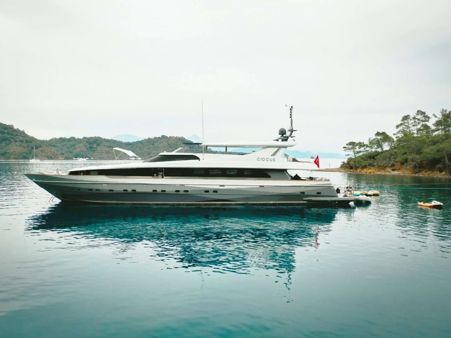 CROCUS |  Custom Made 40M - Photo 2
