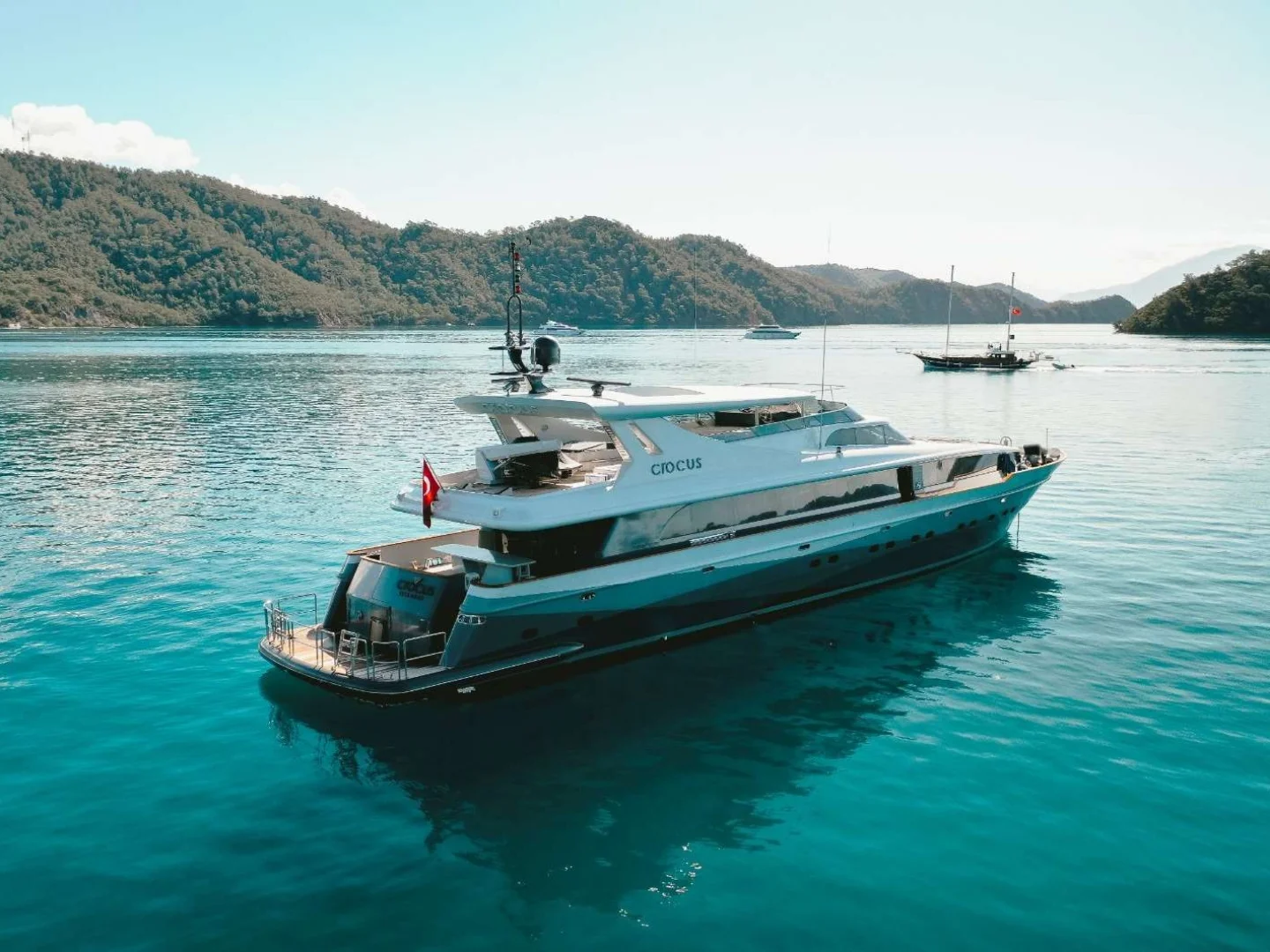 CROCUS |  Custom Made 40M - Photo 3