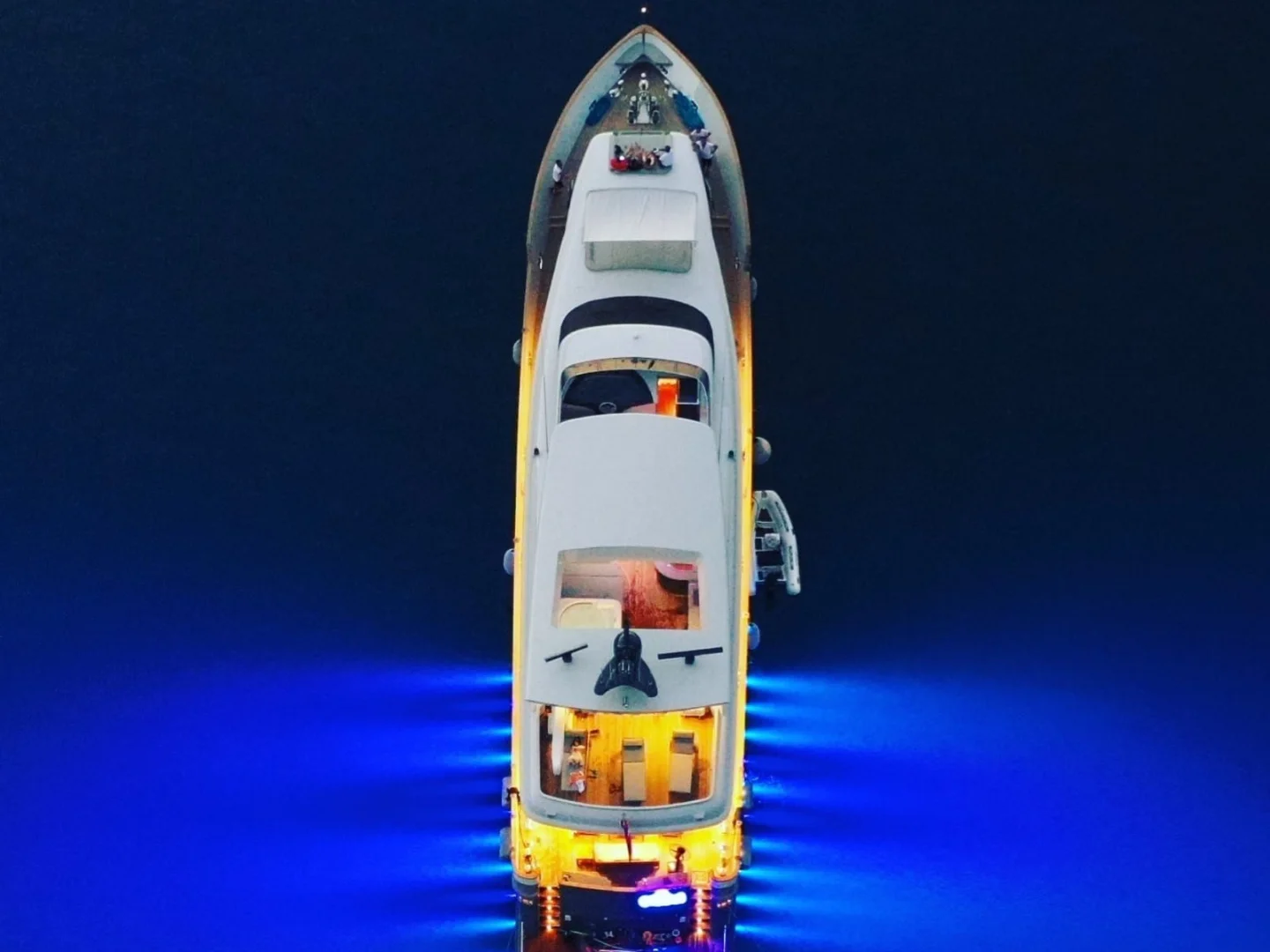 CROCUS |  Custom Made 40M - Photo 9