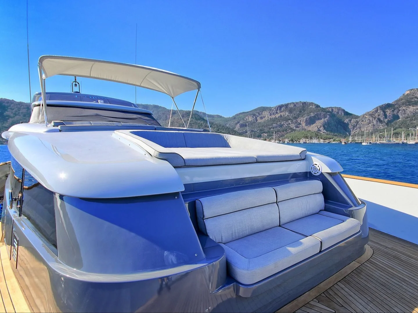 CROCUS |  Custom Made 40M - Photo 12