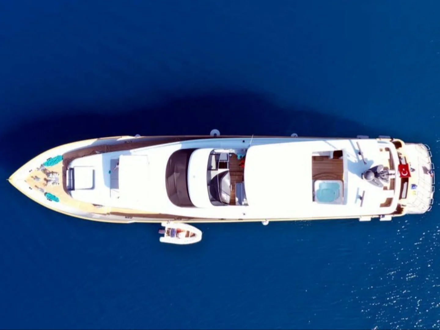 CROCUS |  Custom Made 40M - Photo 6