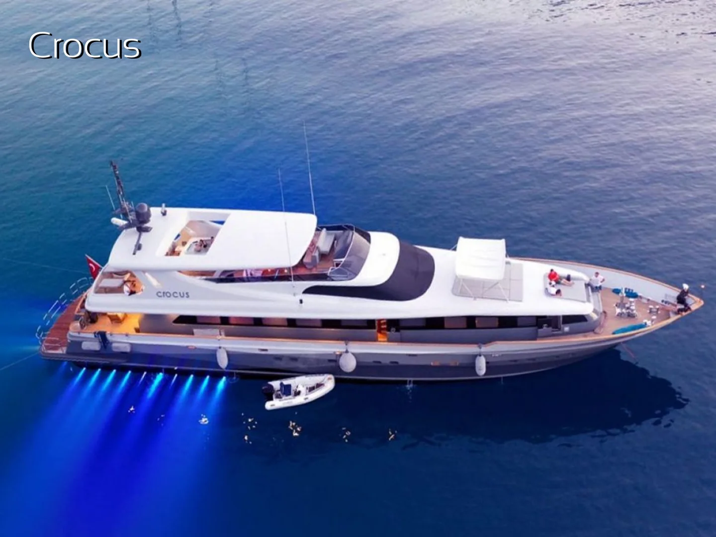 CROCUS |  Custom Made 40M - Photo 7