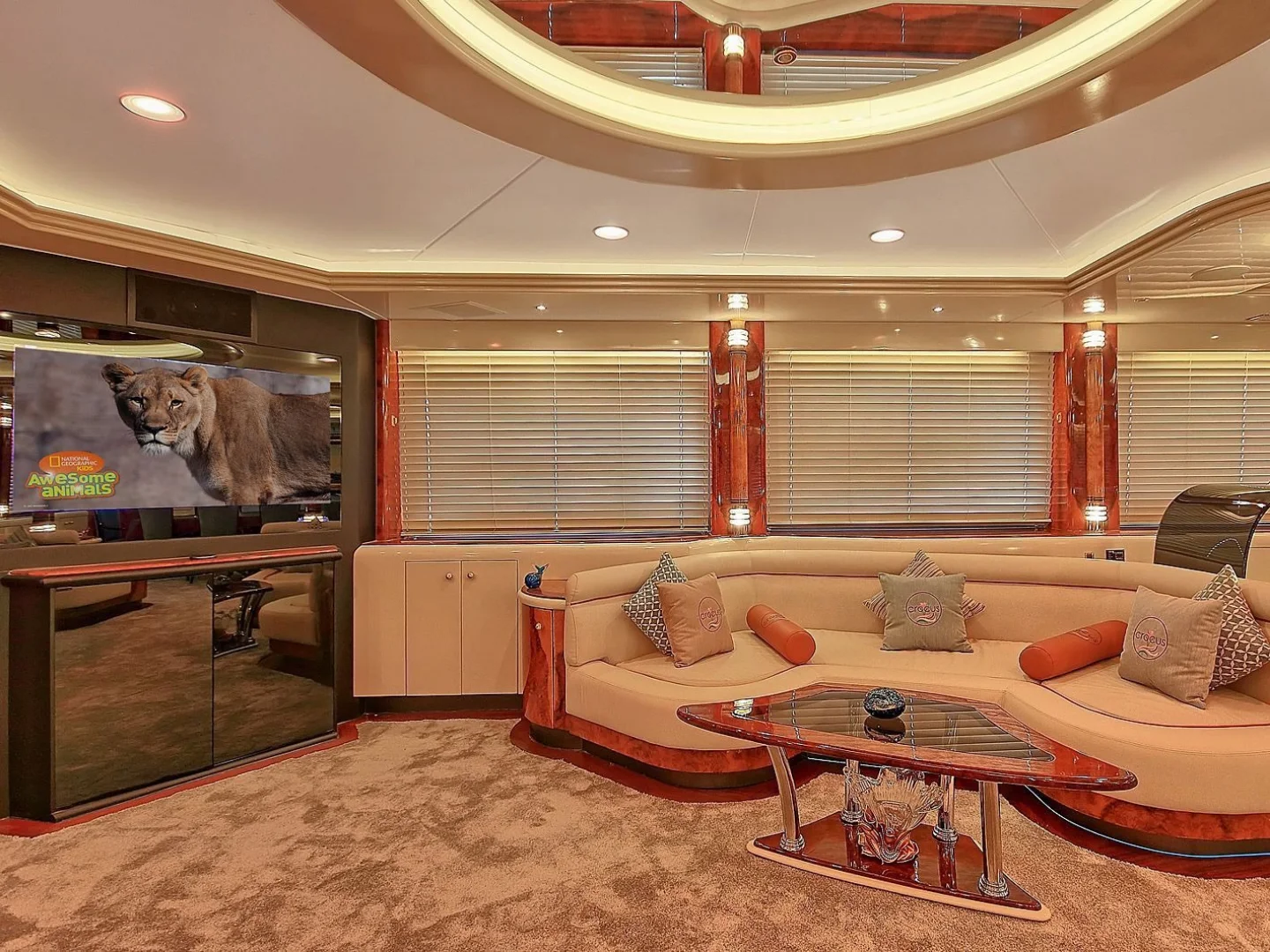 CROCUS |  Custom Made 40M - Photo 21