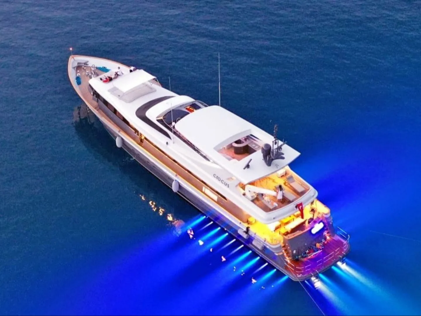 CROCUS |  Custom Made 40M - Photo 8