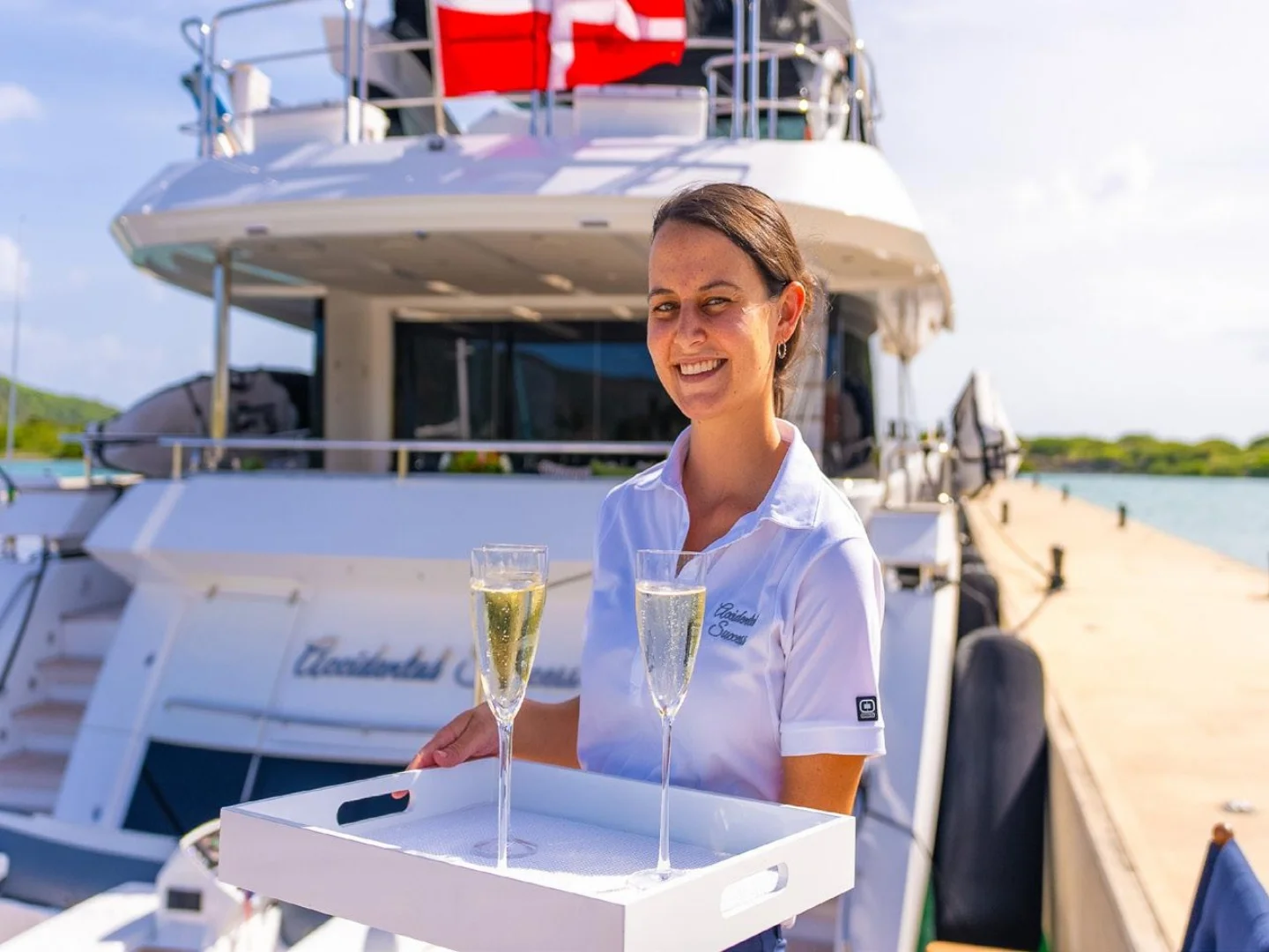 ACCIDENTAL SUCCESS II | Sunseeker 95 - Photo 9
