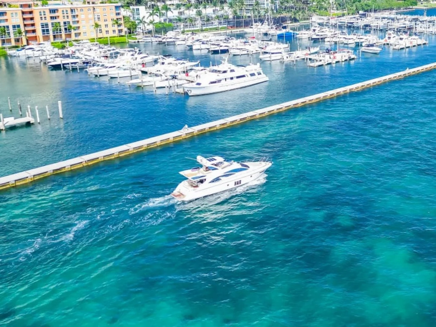 FREEDOM | Azimut 65 - Photo 7