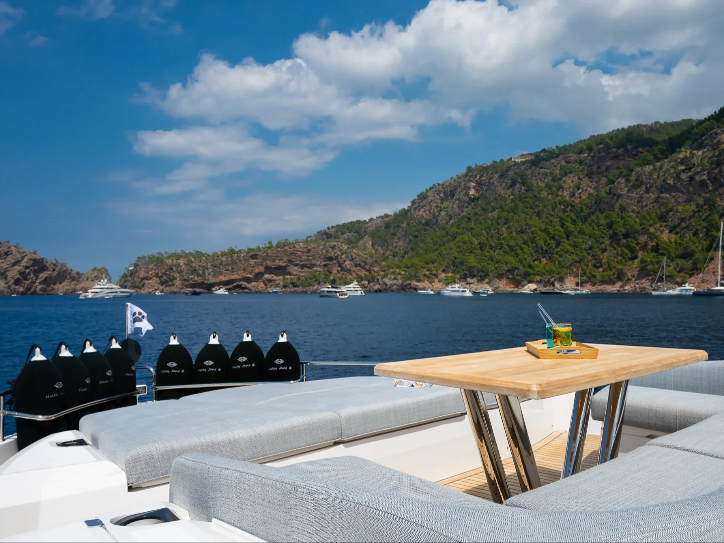 HALEY JANE | Sunseeker 88 - Photo 42