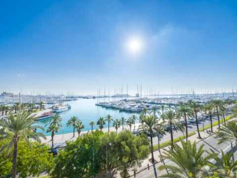 Two Week Balearic Charter