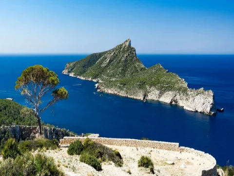 Mallorca Day Charter: Puerto Portals to Sa Dragonera