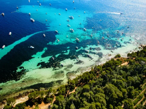 Day charter from Cannes visiting the Lérins Islands
