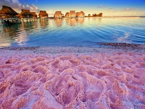 Harbour Island's Pink Sand Beauty