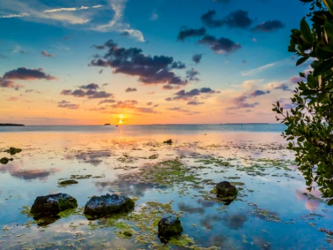 Key Biscayne to Key Largo